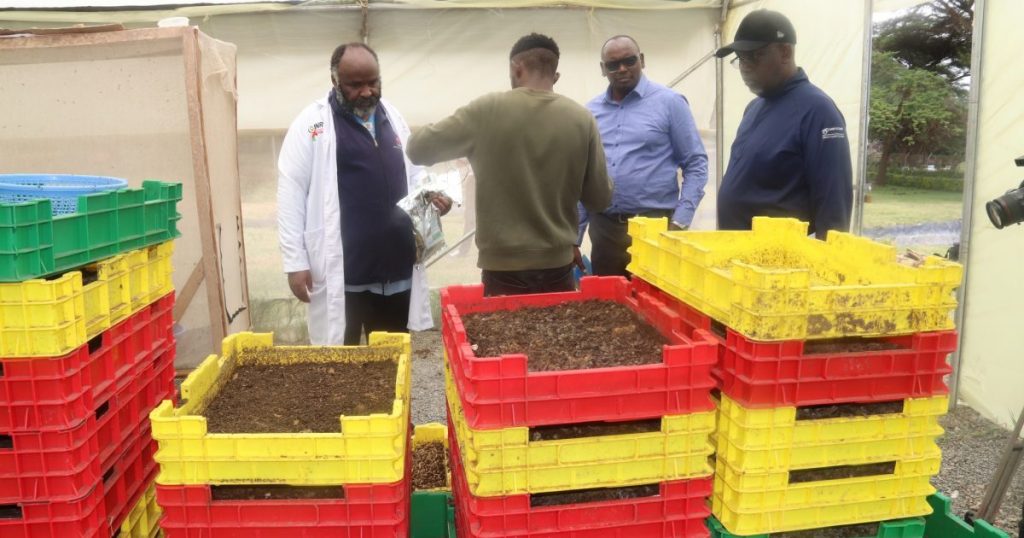 Egerton University’s Agro-Science-Park Fish Farm Pioneers Sustainable Aquaculture