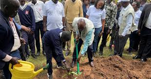 KVDA Launches Major Fruit Tree Planting Initiative to Boost Food Security and Combat Climate Change