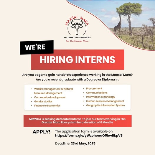 Maasai Mara Wildlife Conservancies Association (MMWCA) Internship Program 2025 — Apply Now!