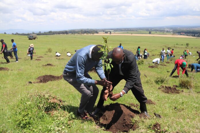Egerton University Partners with Safaricom to Advance National Tree-Planting and Mau Restoration Efforts